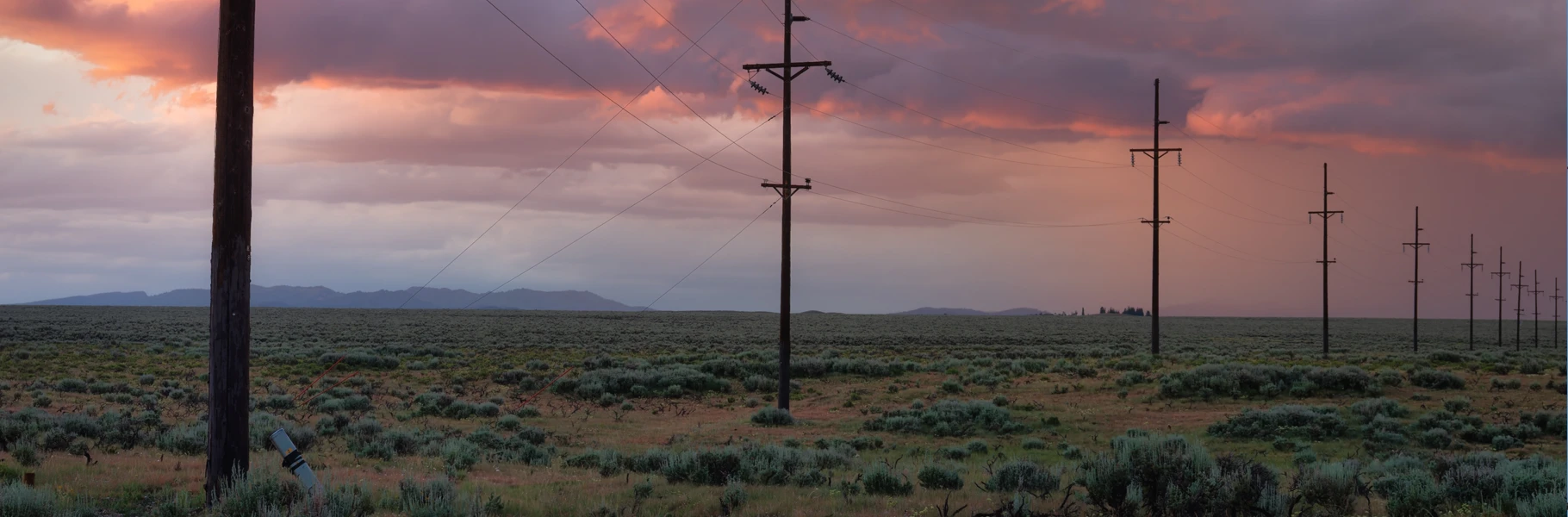 Power lines stretch across a flat, open landscape covered with low bushes and grasses under a dramatic, cloudy sunset sky with shades of pink and purple. Mountains are faintly visible on the horizon.