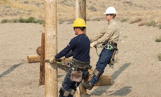 Two workers wearing safety gear and helmets practice climbing wooden utility poles in a dry outdoor setting.