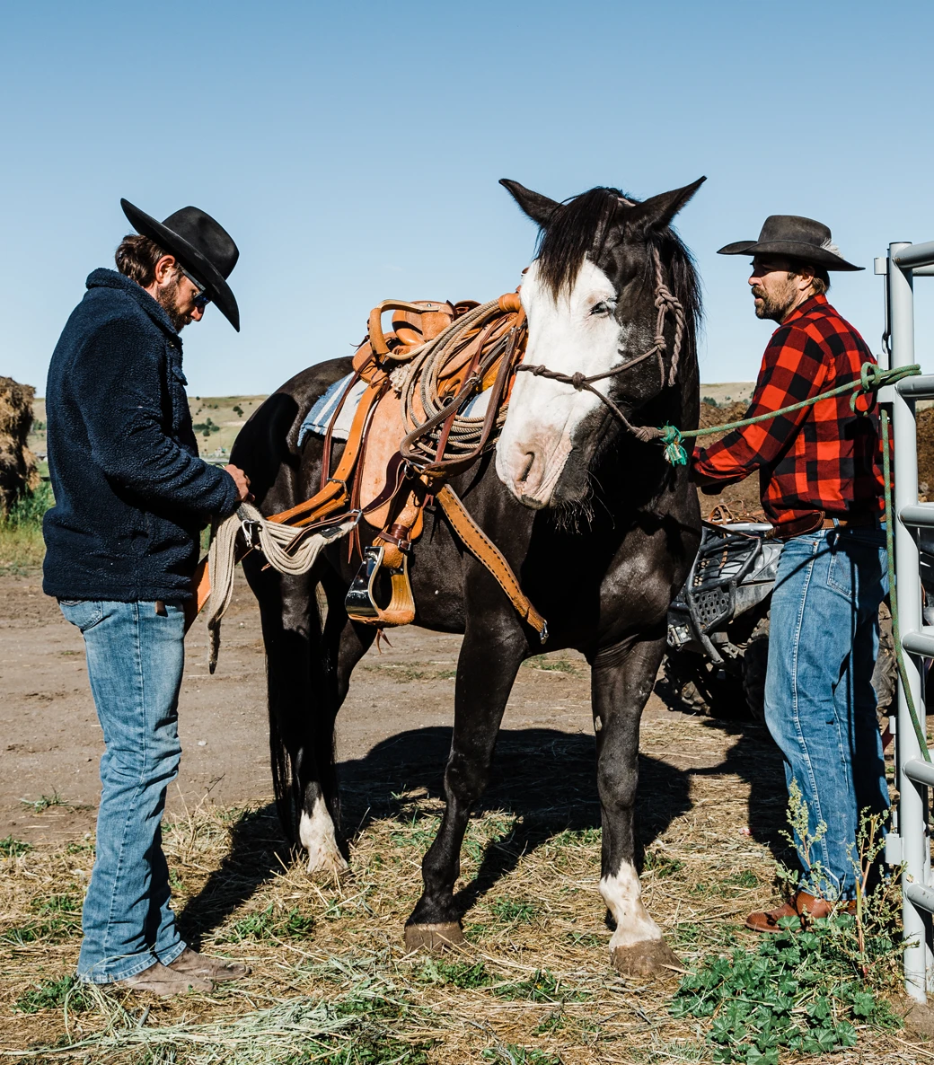 Two men in cowboy hats and boots stand on either side of a saddled horse outdoors, adjusting its tack on a sunny day.