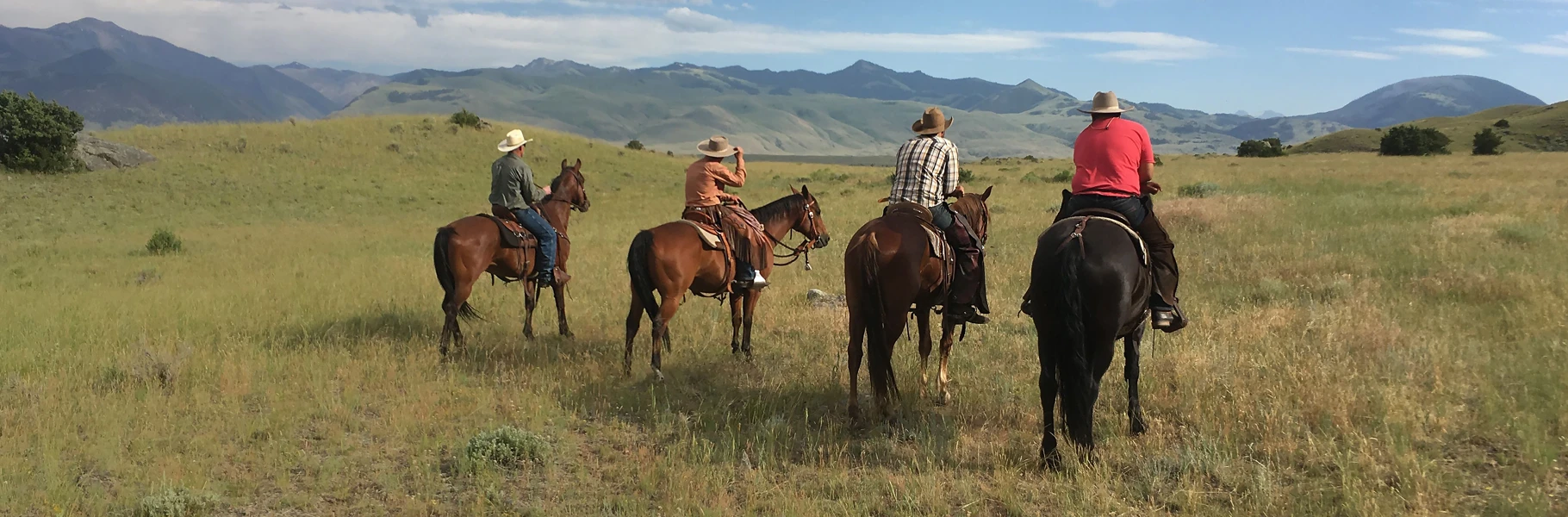 Four people wearing cowboy hats ride horses across a grassy, open landscape with distant mountains under a blue sky.