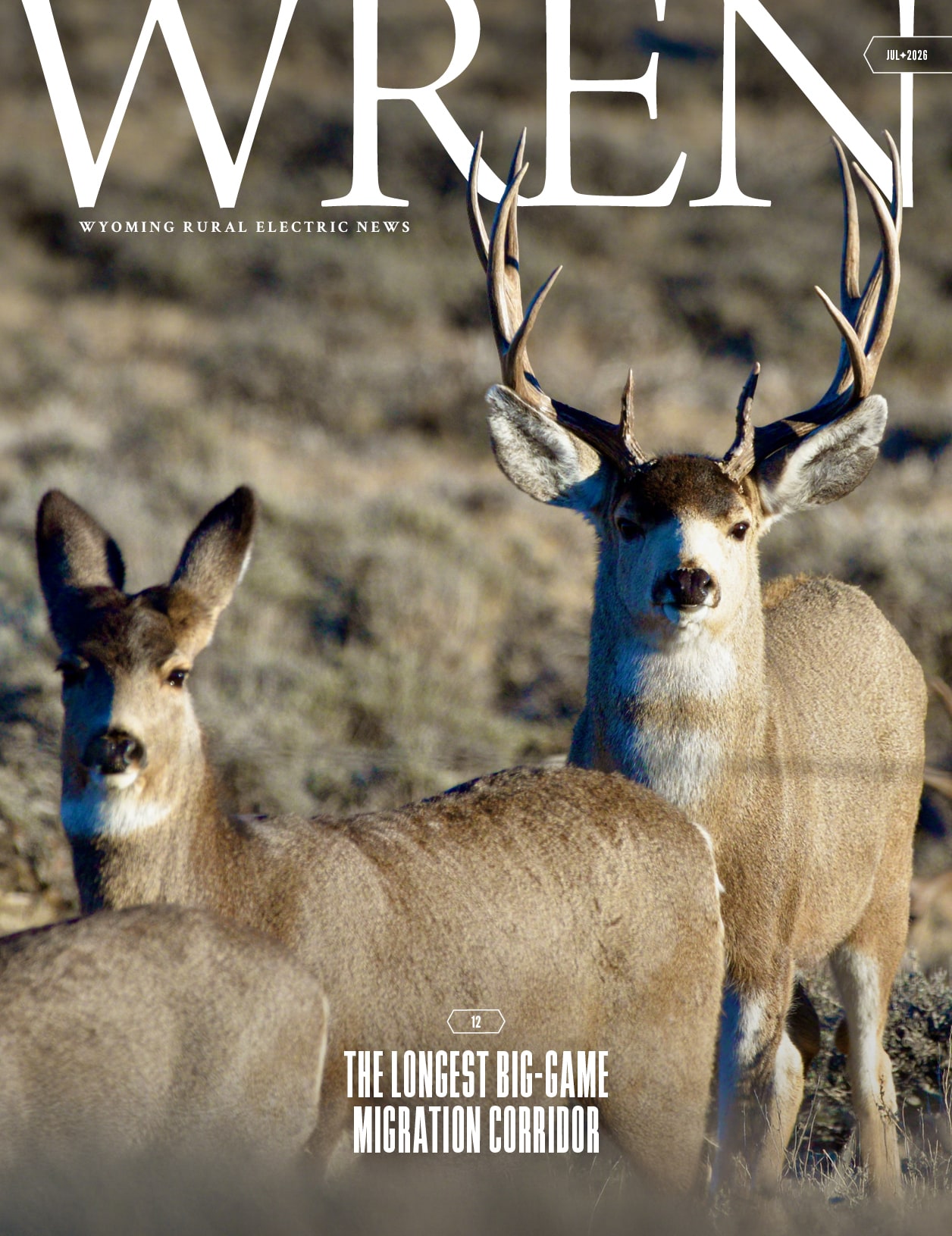 Cover of WREN magazine showing deer looking directly at the camera.